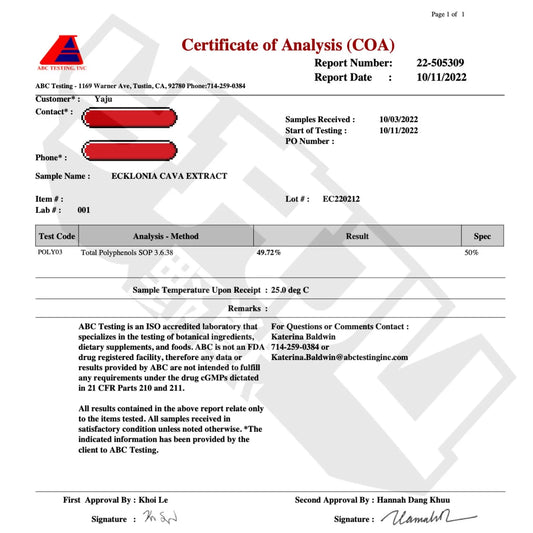 ECKLONIA CAVA | 50% POLYPHENOLS